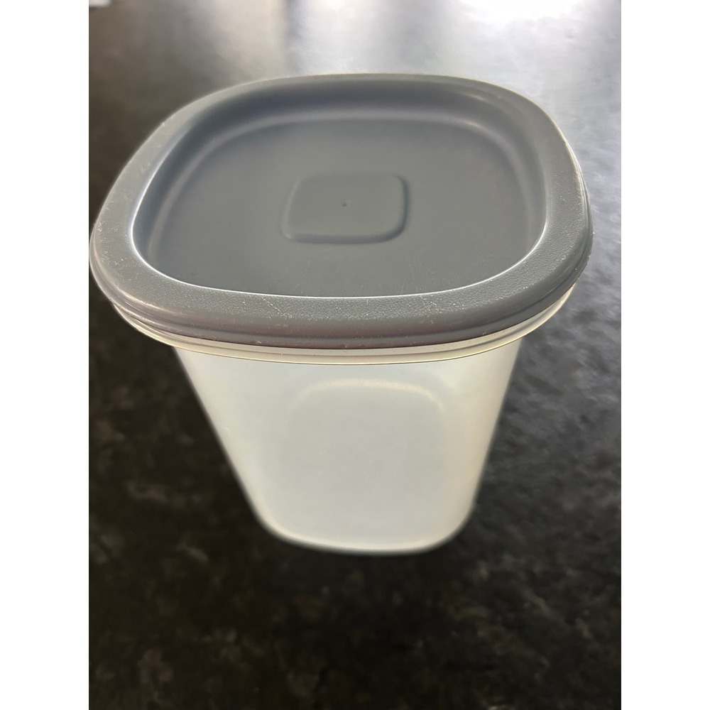 Rubbermaid Servin Saver 6 Cup Food Storage Container Square Grey Lid 0044 0045